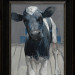 Black and white Holstein calf II