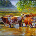 Red-and-white cattle under the willow