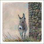 Donkey, Dormillouse (French Alpes)