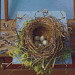 Bird's Nest