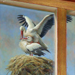 Storks on the nest