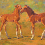 Two playful young foals