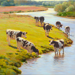 Young cattle by the river
