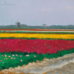 Tulip fields near Callantsoog