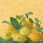 Hoop citroenen